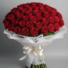 Букет 101 Красная роза Блэк Мэджик в Цимлянске