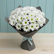 Букет цветов из:  Хризантемы #REPLACE_PRED# Цимлянске