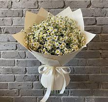 Букет цветов из:  Ромашки #REPLACE_PRED# Цимлянске