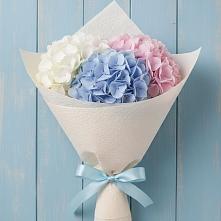 Букет цветов из:  Гортензия в Цимлянске