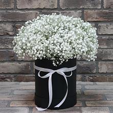 Цветочная композиция из Гипсофила в шляпной коробке #REPLACE_PRED# Цимлянске