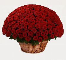 Премиум букет из: Розы #REPLACE_PRED# Цимлянске