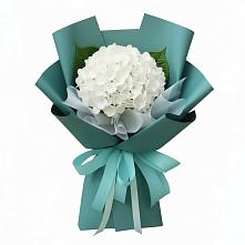 Букет цветов из:  Гортензия в Цимлянске